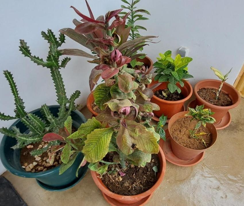 Apartamentos Santiago - Tarrafal Tarrafal  Luaran gambar